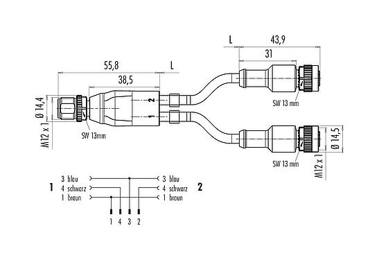 Maßzeichnung M12 Kabelsplitter Kabelstecker - 2 Kabeldosen, Polzahl: 4/3, ungeschirmt, am Kabel angespritzt, IP68, UL 2238, PUR, schwarz, 3 x 0,34 mm², 2 m