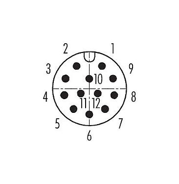 Pólus ábra (csatlakozó oldal) M12 derékszögű csatlakozó, : 12, 6,0-8,0 mm, árnyékolatlan, kézi forrasztású, IP67, UL 2238