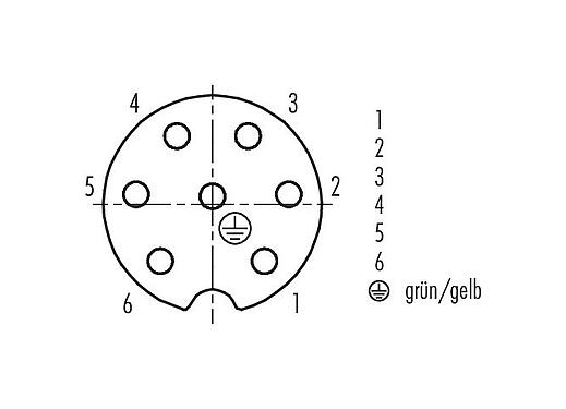 Polbild (Steckseite) 79 0238 20 07 - RD24 Winkeldose, Polzahl: 6+PE, ungeschirmt, am Kabel angespritzt, IP67, PVC, schwarz, 7 x 0,75 mm², 2 m