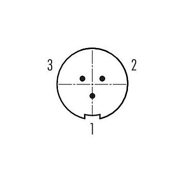 Disposition des contacts (Côté plug-in) 09 4707 00 03 - Push Pull Embase mâle, Contacts: 3, non blindé, souder, IP67
