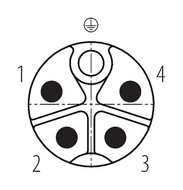 Disposition des contacts (Côté plug-in) M12 Connecteur mâle coudé, Contacts: 4+PE, 8,0-13,0 mm, non blindé, pince à visser, IP67, UL 2238