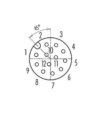 Contact arrangement (Plug-in side) 99 1492 812 12 - M12 Female cable connector, Contacts: 12, 6.0-8.0 mm, shieldable, solder, IP67, UL