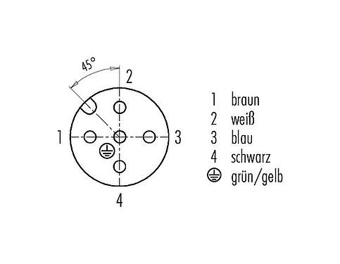 Polbild (Steckseite) M12 Kabeldose, Polzahl: 5, ungeschirmt, am Kabel angespritzt, IP68/IP69K, UL 2238, PUR, orange, 5 x 0,34 mm², für Schweißanwendungen, 2 m