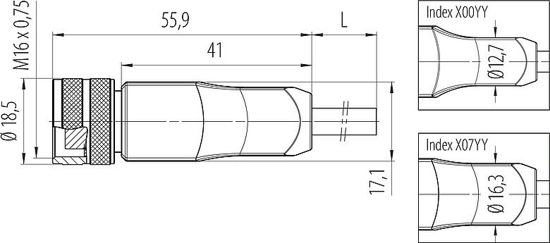 Maßzeichnung M16 Kabeldose, Polzahl: 12, geschirmt, am Kabel angespritzt, IP67, PUR, schwarz, 12 x 0,25 mm², 2 m
