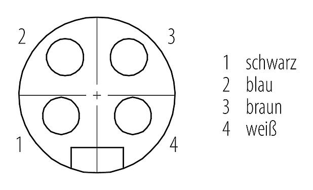 Polbild (Steckseite) 7/8" Flanschdose, Polzahl: 4, ungeschirmt, Litzen, IP68, UL 2238, VDE, PG 11, Frontmontage, vergossen