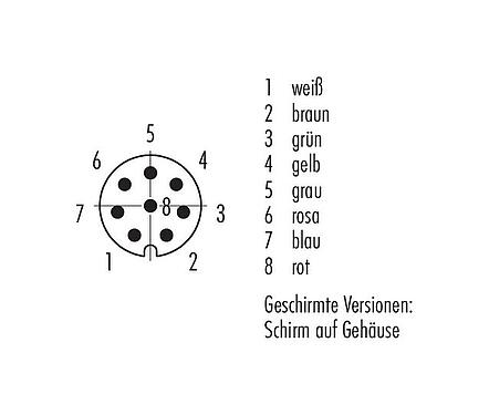 Polbild (Steckseite) M8 Kabelstecker, Polzahl: 8, geschirmt, am Kabel angespritzt, IP67, UL 2238, PUR, schwarz, 8 x 0,25 mm², 2 m