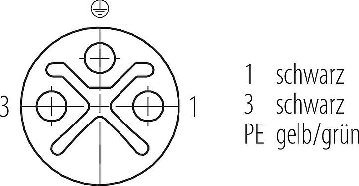 Polbild (Steckseite) M12 Kabeldose, Polzahl: 2+PE, ungeschirmt, am Kabel angespritzt, IP68, UL 2238, PUR, schwarz, 3 x 1,50 mm², 5 m