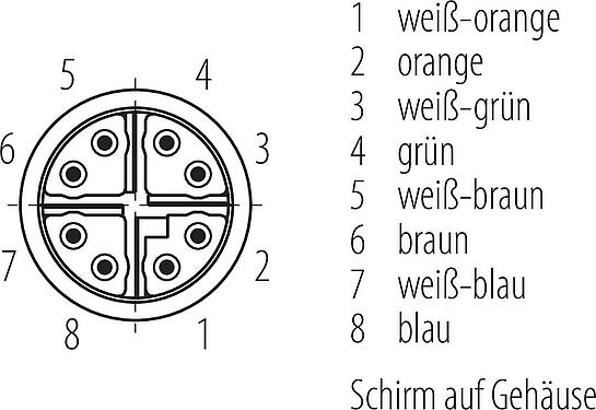 Polbild (Steckseite) M12/RJ45 Verbindungsleitung Kabelstecker - RJ45-Stecker, Polzahl: 8, geschirmt, am Kabel angespritzt, IP67, UL, PUR, grün, AWG 26/7, 10 m