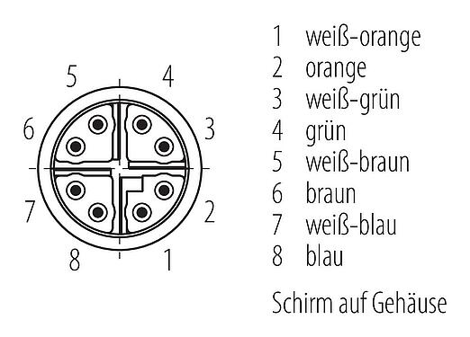 Polbild (Steckseite) M12 Verbindungsleitung 2 Kabelstecker, Polzahl: 8, geschirmt, am Kabel angespritzt, IP67, UL, PUR, grün, AWG 26/7, 10 m
