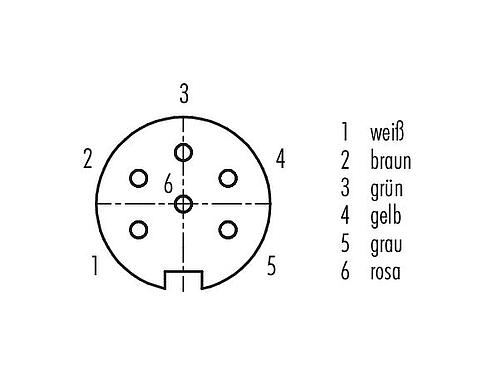 Polbild (Steckseite) M16 Flanschdose, Polzahl: 6 (06-a), ungeschirmt, Litzen, IP40, M18x0,75, Frontmontage