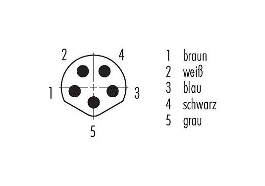 Polbild (Steckseite) M8 Kabelstecker, Polzahl: 5, ungeschirmt, am Kabel angespritzt, IP67/IP69K, UL 2238, PVC, grau, 5 x 0,34 mm², 5 m