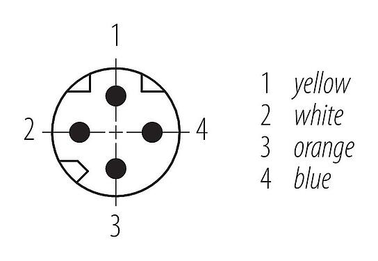 Disposizione dei contatti (lato connessione) M8 Connettore cavo maschio, Numero poli: 4, schermato, stampato sul cavo, IP67, Profinet/Ethernet CAT5e, PUR, verde, 4 x AWG 22, 5 m