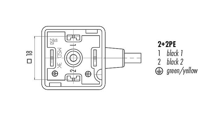 Disposition des contacts (Côté plug-in) 31 5237 500 520 - Douille d'électrovanne, Contacts: 2+2PE, non blindé, surmoulé sur le câble, IP67, PUR, noir, Circuit Z20, avec LED, PNP, 5 m