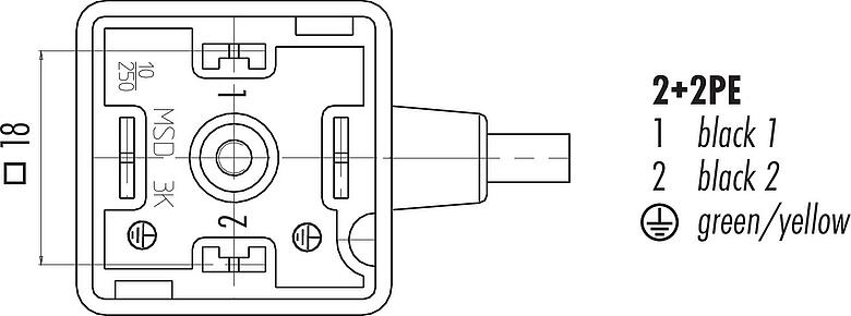 Disposición de los contactos (lado de la conexión) Conector de válvula solenoide hembra, Número de contactos: 2+2PE, sin blindaje, moldeado en el cable, IP67, PUR, negro, 5 m