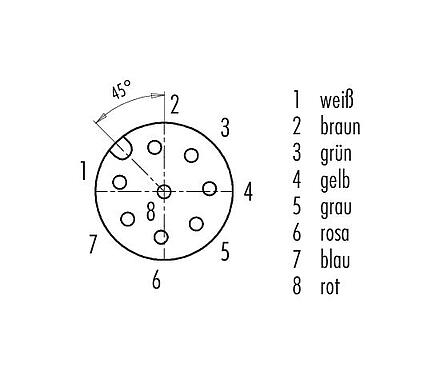 Polbild (Steckseite) 77 3430 0000 50708-0200 - M12 Kabeldose, Polzahl: 8, ungeschirmt, am Kabel angespritzt, IP69K, UL, PUR, schwarz, 8 x 0,25 mm², 2 m