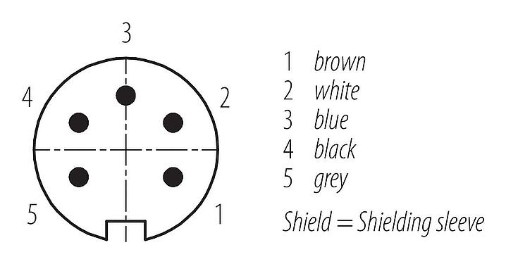 Sắp xếp liên hệ (phía kết nối) M16 Phích cắm cáp, Số lượng cực : 5, có chống nhiễu, ép phun vào dây cáp, IP67, PUR, màu đen, 5x0,34mm², 2m
