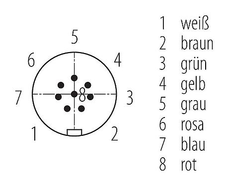 Polbild (Steckseite) 77 6405 0000 50008-0200 - Snap-In Kabelstecker, Polzahl: 8, ungeschirmt, am Kabel angespritzt, IP67, UL 2238, PUR, schwarz, 8 x 0,25 mm², 2 m