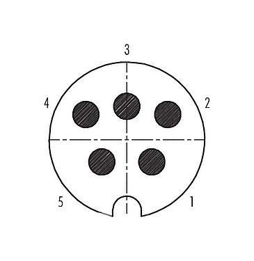 Koskettimien järjestys (plug in -puoli) 09 0059 00 05 - Pistin Kaapelipistoke, Napojen määrä: 5, 5,0-8,0 mm, suojattavissa, juotos, IP40
