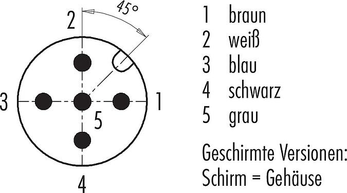 Polbild (Steckseite) M12 Kabelstecker, Polzahl: 5, geschirmt, am Kabel angespritzt, IP67, UL 2238, PUR, schwarz, 5 x 0,25 mm², 5 m