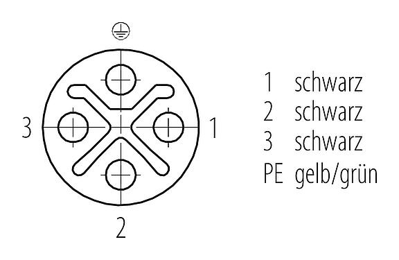 Polbild (Steckseite) M12 Verbindungsleitung Kabelstecker - Kabeldose, Polzahl: 3+PE, ungeschirmt, am Kabel angespritzt, IP68, UL 2238, M12x1,0, PUR, schwarz, 4 x 1,50 mm², 5 m