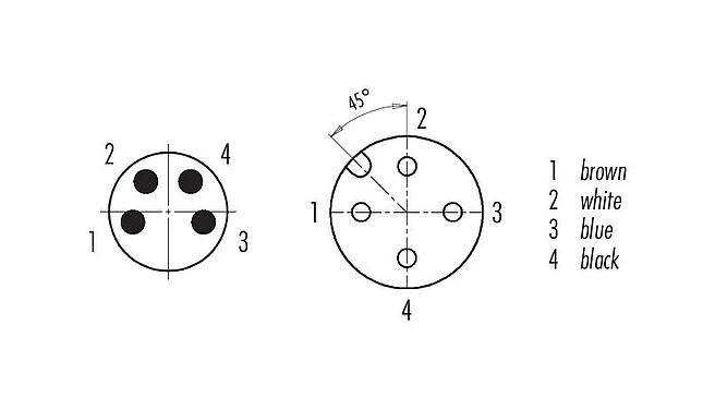 Disposition des contacts (Côté plug-in) M12/M8 Connecteur mâle - connecteur d‘angle femelle, Contacts: 4, non blindé, surmoulé sur le câble, IP67/IP69K, UL 2238, PUR, noir, 4 x 0,34 mm², 1 m