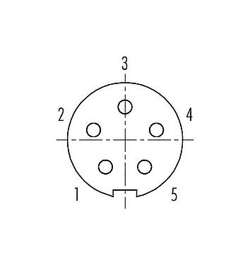 Disposizione dei contatti (lato connessione) 09 4916 00 05 - Spingere Tirare Connettore femmina a flangia, Numero poli: 5, schermabile, saldare, IP67