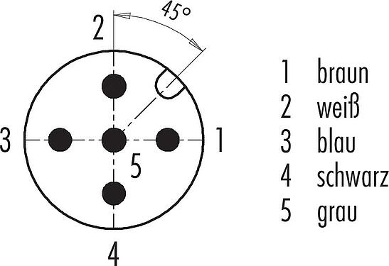 Polbild (Steckseite) M12 Kabelstecker, Polzahl: 5, ungeschirmt, am Kabel angespritzt, IP68/IP69K, PUR, schwarz, 5 x 0,34 mm², für Schweißanwendungen, 2 m