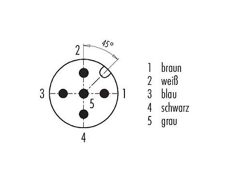 Polbild (Steckseite) M12 Verbindungsleitung Winkelstecker - Kabeldose, Polzahl: 5, ungeschirmt, am Kabel angespritzt, IP67/IP69K, UL 2238, Ecolab, PVC, grau, 5 x 0,34 mm², Lebensmittelindustrie, Edelstahl, 5 m