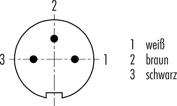 Polbild (Steckseite) M9 Kabelstecker, Polzahl: 3, ungeschirmt, am Kabel angespritzt, IP67, PUR, schwarz, 3 x 0,25 mm², 5 m
