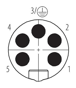 Contactconfiguratie (Insteekbereik) 7/8" Kabelstekker, aantal polen: 4+PE, 10,0-12,0 mm, onafgeschermd, schroefklem, IP67, UL 2238, VDE