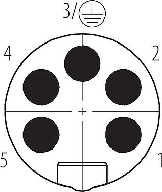 Disposición de los contactos (lado de la conexión) 7/8" Conector de cable macho, Número de contactos: 4+PE, 12,0-14,0 mm, sin blindaje, tornillo extraíble, IP67, UL 2238, VDE