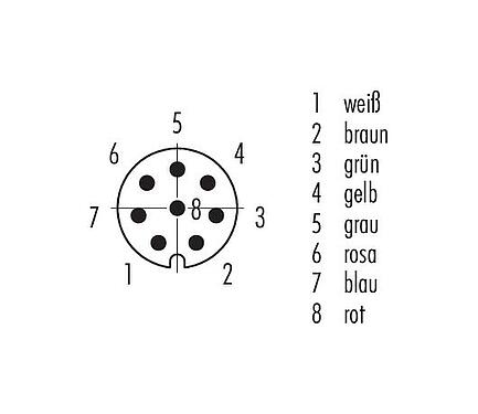 Polbild (Steckseite) M8 Kabelstecker, Polzahl: 8, ungeschirmt, am Kabel angespritzt, IP67/IP69K, UL 2238, PVC, grau, 8 x 0,25 mm², Edelstahl, 5 m