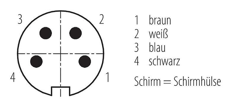 Polbild (Steckseite) M16 Kabelstecker, Polzahl: 4, geschirmt, am Kabel angespritzt, IP67, PUR, schwarz, 4 x 0,34 mm², 2 m