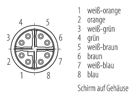 Polbild (Steckseite) M12 Verbindungsleitung Kabelstecker - Kabeldose, Polzahl: 8, geschirmt, am Kabel angespritzt, IP67, UL, PUR, grün, AWG 26/7, 5 m