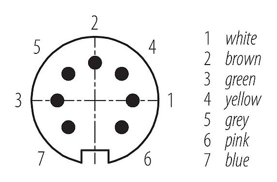 Disposition des contacts (Côté plug-in) M16 Connecteur mâle, Contacts: 7 (07-b), non blindé, surmoulé sur le câble, IP67, PUR, noir, 8 x 0,25 mm², 2 m