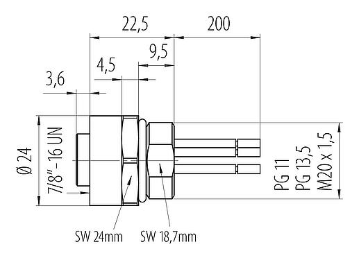 Dibujo a escala 7/8" Toma de brida, Número de contactos: 4+PE, sin blindaje, hilos, IP68, UL 2238, VDE, PG 11, Montaje frontal, moldeado