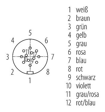 Polbild (Steckseite) 77 6406 0000 50012-0200 - Snap-In Kabeldose, Polzahl: 12, ungeschirmt, am Kabel angespritzt, IP67, UL 2238, PUR, schwarz, 12 x 0,25 mm², 2 m