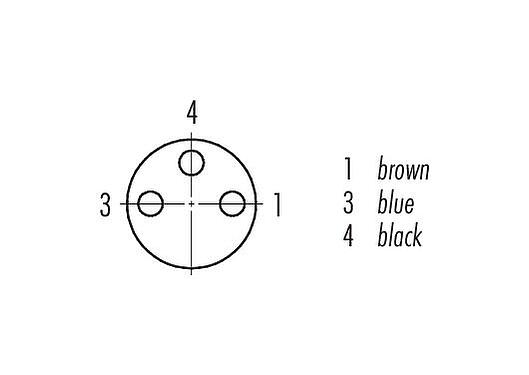 Disposition des contacts (Côté plug-in) M8 Embase femelle, Contacts: 3, non blindé, fils, IP67/IP69K, UL 2238, M10x0,75, Montage mural arrière, coulé