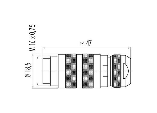 Maßzeichnung M16 Kabelstecker, Polzahl: 7 (07-a), 4,1-7,8 mm, schirmbar, crimpen (Crimpkontakte müssen separat bestellt werden), IP67, Kurzversion