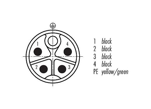 Contact arrangement (Plug-in side) 77 0677 0000 70505-0500 - M12 Male angled connector, Contacts: 4+PE, unshielded, moulded on the cable, IP68, UL, PUR, black, 5 x 1.50 mm², 5 m