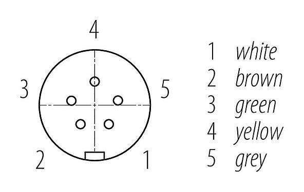 Contactconfiguratie (Insteekbereik) Snap-In Kabeldoos, aantal polen: 5, onafgeschermd, aan de kabel aangegoten, IP67, UL 2238, PUR, zwart, 5 x 0,75 mm², 2 m