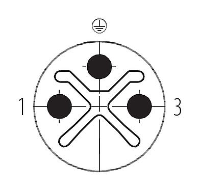 Disposizione dei contatti (lato connessione) M12 Connettore cavo maschio, Numero poli: 2+PE, 8,0-10,0 mm, non schermato, morsetto a vite, IP67, UL 2238