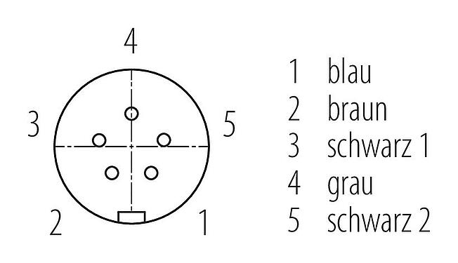 Polbild (Steckseite) Snap-In Kabeldose, Polzahl: 5, ungeschirmt, am Kabel angespritzt, VDE, PUR, 5 x 0,75 mm², 2 m