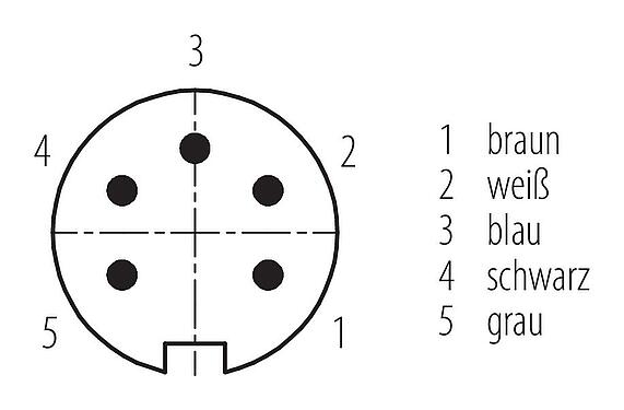 Polbild (Steckseite) M16 Kabelstecker, Polzahl: 5, ungeschirmt, am Kabel angespritzt, IP67, PUR, schwarz, 5 x 0,34 mm², 2 m