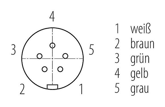 Polbild (Steckseite) Snap-In Kabeldose, Polzahl: 5, ungeschirmt, am Kabel angespritzt, IP67, UL 2238, PUR, schwarz, 5 x 0,75 mm², 2 m
