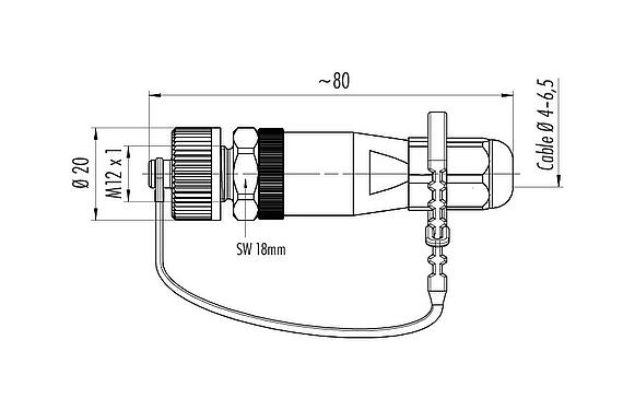 Rysunek z wymiarami M12 Męskie złącze kablowe proste, Kontaktów: 4, 4,0-6,5 mm, nieekranowany, zacisk śrubowy, IP68/IP69K, do zastosowań zewnętrznych, UV-Beständig