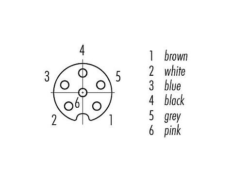 Disposition des contacts (Côté plug-in) M8 Connecteur femelle, Contacts: 6, non blindé, surmoulé sur le câble, IP65, PUR, noir, 6 x 0,25 mm², Aligner version, 5 m