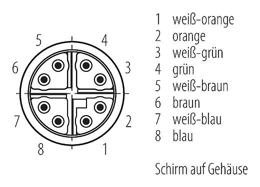 Polbild (Steckseite) M16 Kabelstecker, Polzahl: 8, 5,5-9,0 mm, schirmbar, IDC, IP67