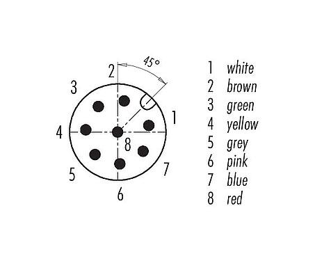 Koskettimien järjestys (plug in -puoli) M12 Kaapelipistoke, Napojen määrä: 8, suojattu, suihkutettu kaapelille, IP67, UL 2238, PVC, harmaa, 8 x 0,25 mm², 5 m