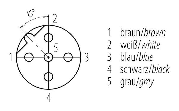 Koskettimien järjestys (plug in -puoli) M12 Kaapelirasia, Napojen määrä: 5, suojaamaton, suihkutettu kaapelille, IP68/IP69K, UL 2238, PVC, harmaa, 5 x 0,34 mm², 5 m